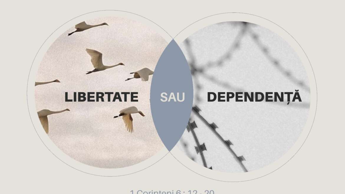 Conferinta regionala de tineret – Regiunea Viena | 18 Octombrie 2025