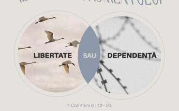 Conferinta regionala de tineret – Regiunea Viena | 18 Octombrie 2025